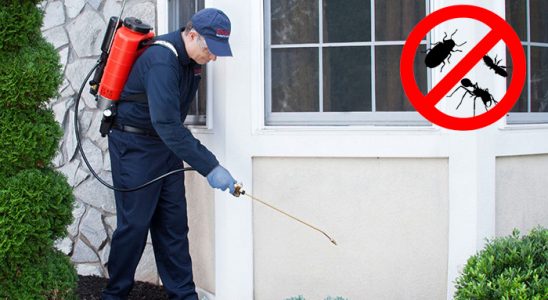 Kozaklı Karınca İlaçlama böcek ilaçlama ve haşere kontrolü — ilaclama-tr.com